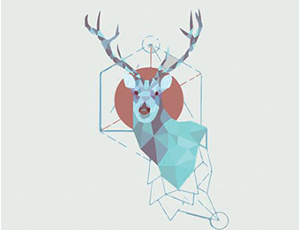 紀實文學的新變化和可能性