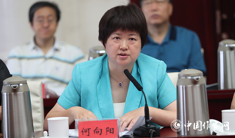 7月28日，評(píng)獎(jiǎng)辦公室主任何向陽(yáng)在全體會(huì)上做關(guān)于參評(píng)作品申報(bào)情況及其它事項(xiàng)說(shuō)明