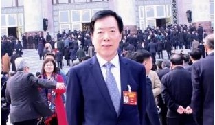 全國(guó)政協(xié)委員陳崎嶸