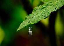 《谷雨》過了清明，就是谷雨。村莊里，田野里，村路上，草木間，人家的院落里，人們的臉上，到處都是春天的閑意思了。[詳細]