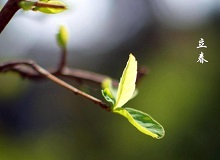 《立春》大年三十這一天，天難得放晴了。村子里到處明晃晃的，陽光映照著雪地，仿佛琉璃世界。[詳細]