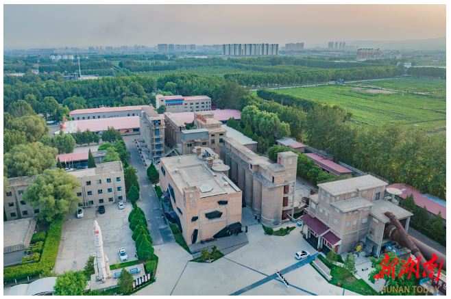 賈家莊“種子影院”。