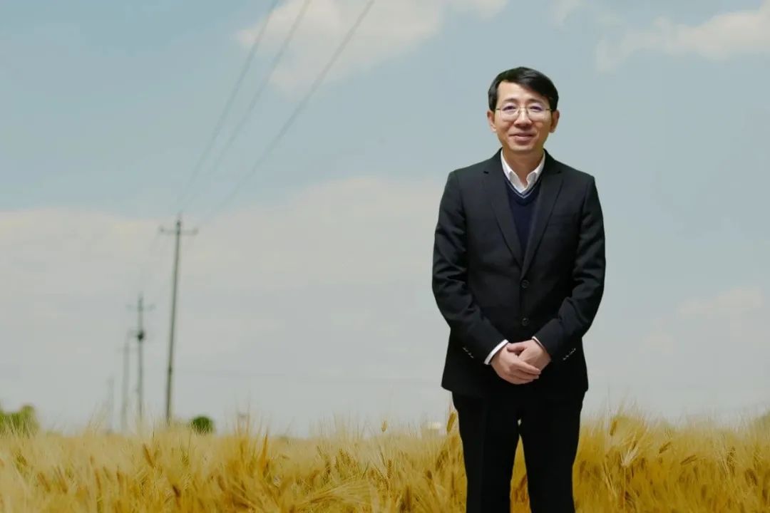 羅長青，男，1981年生，湖南衡陽人；博士畢業(yè)于南京大學，曾在復旦大學中國語言文學博士后流動站從事博士后研究，曾任貴州師范大學文學院教授，博士研究生導師；現為廣東外語外貿大學中國語言文化學院教授；主要從事中國當代文學與文化現象研究。