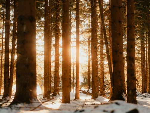 循著日常軌跡，走進(jìn)情感腹地——2024年散文讀札