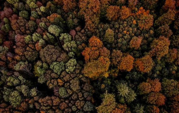 2024中國文學(xué)盤點：創(chuàng)獲豐富多樣 景象令人欣喜