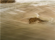 “抵抗遺忘”是對寫作者的最高要求　　對傅菲而言，“元”是周而復始之始，代表初心，“燈”乃光明之源……[詳細]