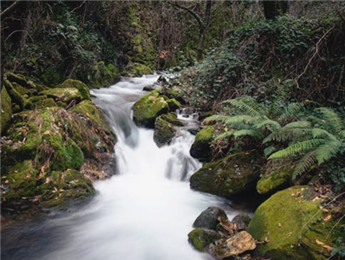 在自然的詩行里，我們都是蹩腳的讀者……