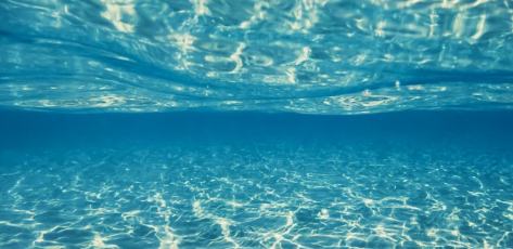 網絡文藝的魅力在于打破邊界、匯聚力量