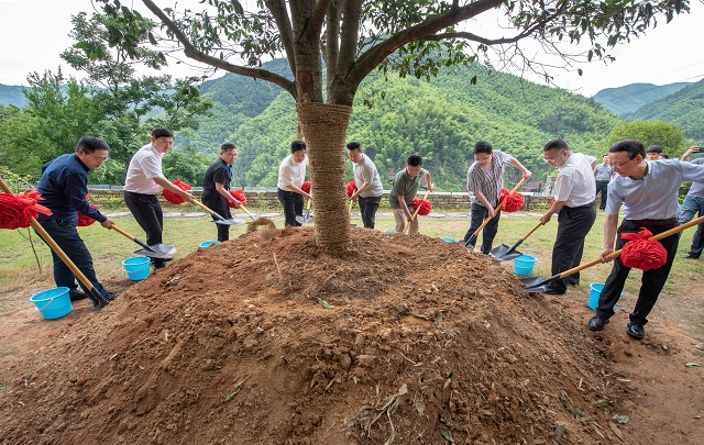 中國作家全國首個新時代文學實踐點落戶杭州臨安