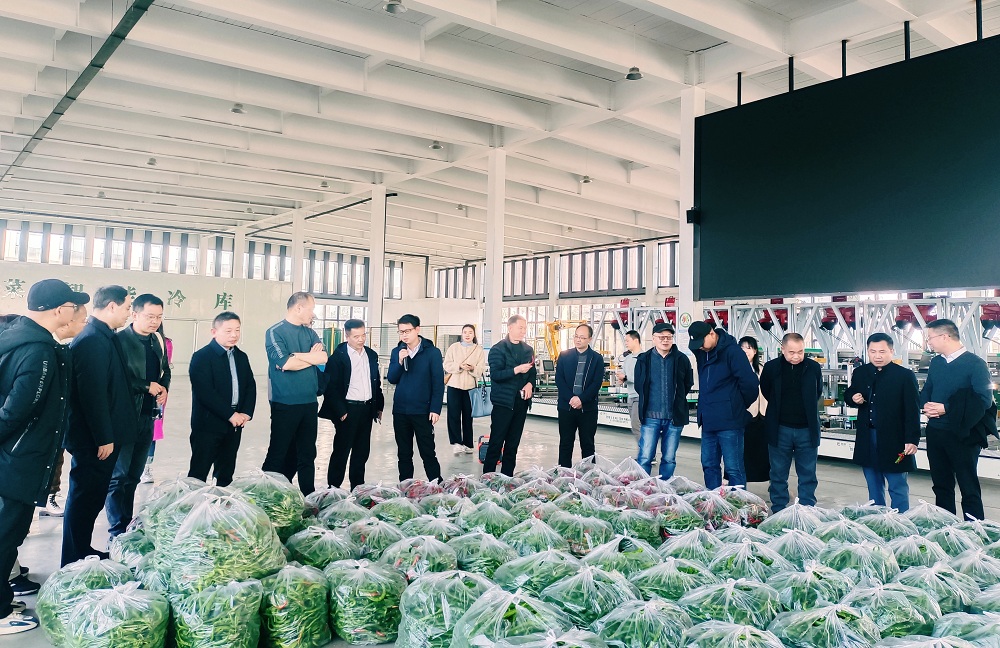 2025年2月12日，采風團一行在長勝鎮鄉村振興示范區參觀