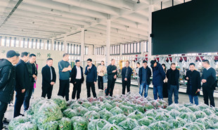 采風團一行在長勝鎮鄉村振興示范區參觀