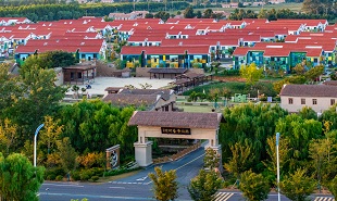 潮間帶藝術(shù)村