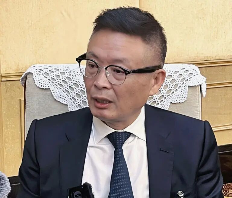 全國人大代表、中國作協(xié)副主席麥家