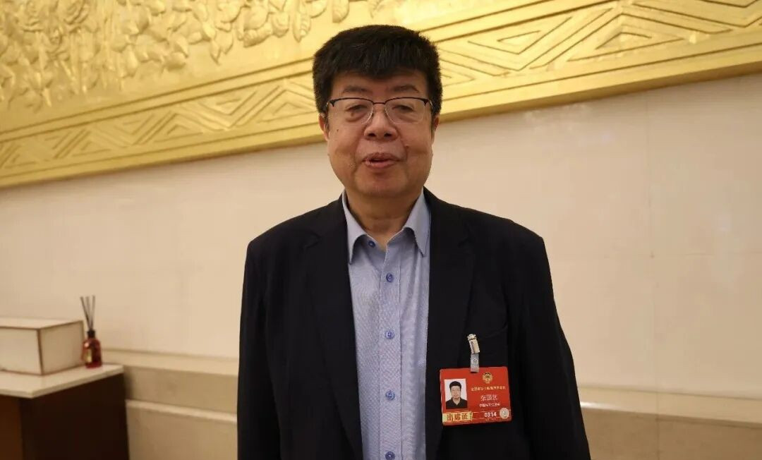 全國政協委員、北京大學中文系教授張頤武