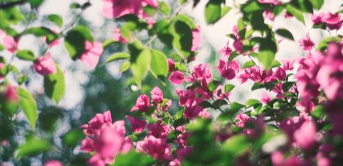 網(wǎng)絡(luò)文學(xué)的現(xiàn)實(shí)性與現(xiàn)實(shí)意義