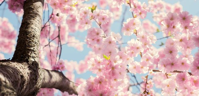 網(wǎng)文獨(dú)家 | 2025我們的網(wǎng)文故事：永遠(yuǎn)鮮活，沒(méi)有天花板