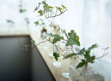 朱強：多余的素材在橋邊的陽光里等車，嫩黃的太陽在寶石藍的天空中形同虛設，好像是紙糊的。一刻鐘后，車終于來了。[詳細]