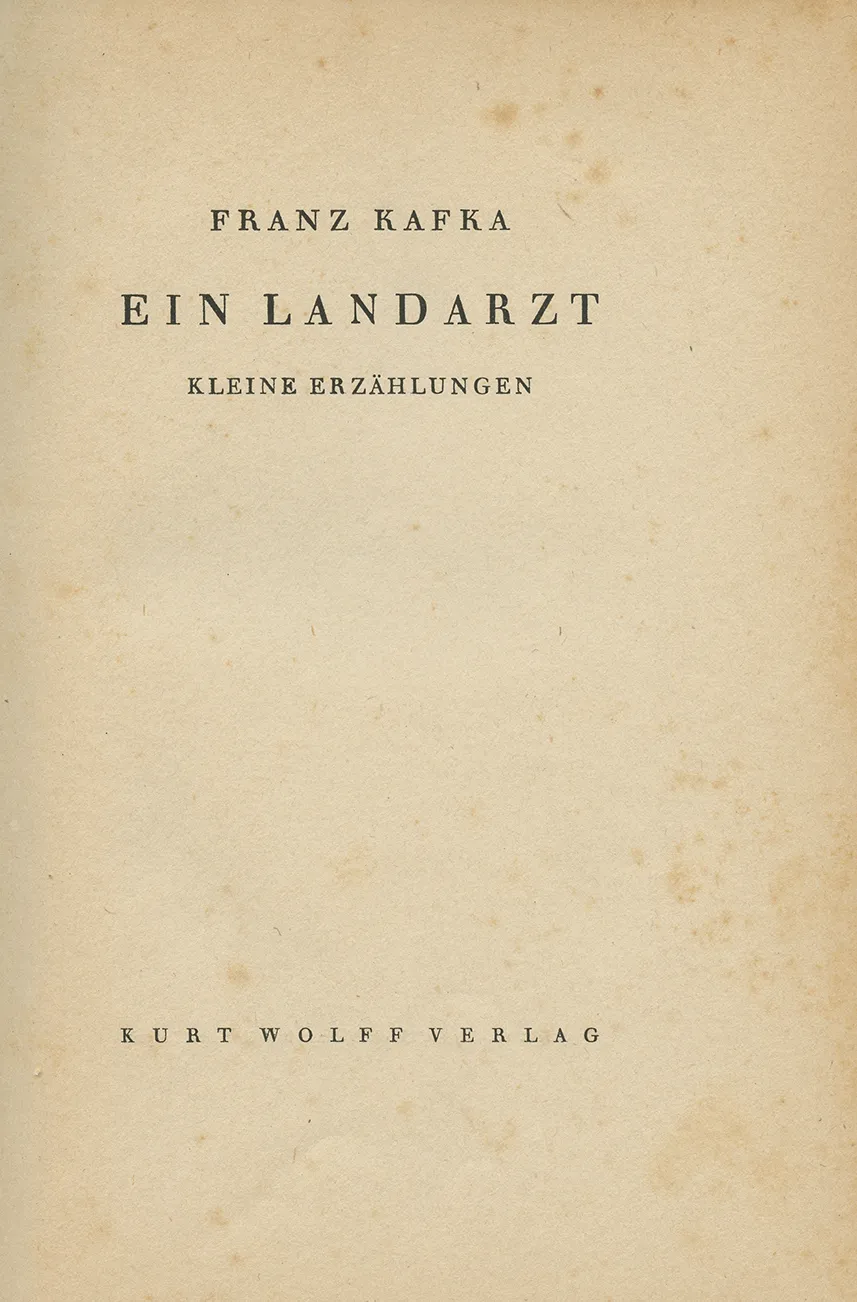 濟州普雷斯露營區