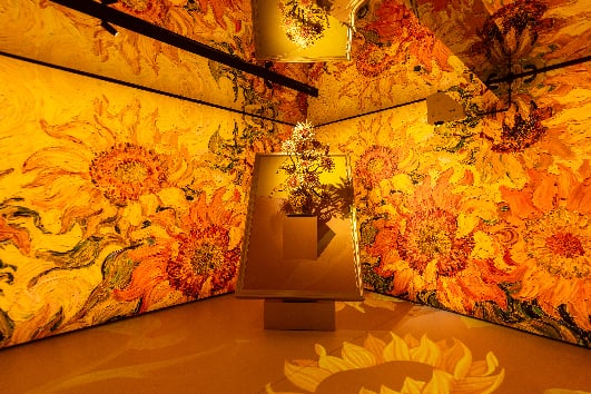 005A9631-opq4501191191